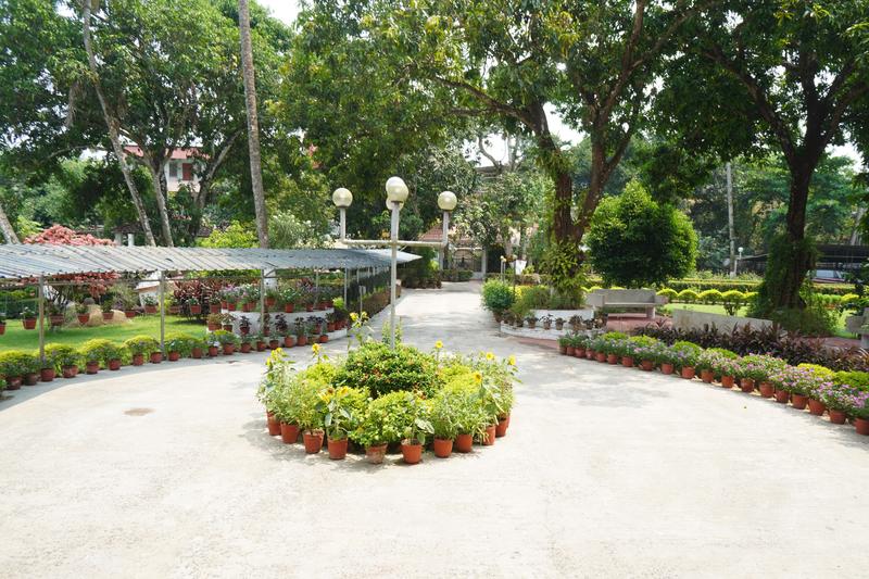 Peace elder care facility garden and common space